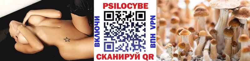 Купить  Снежинск  Псилоцибиновые грибы ЛСД 